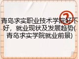 青岛求实职业技术学院好不好，就业现状及发展趋势(青岛求实学院就业前景)