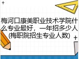 梅河口康美职业技术学院什么专业最好，一年招多少人(梅职院招生专业人数)
