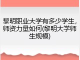 黎明职业大学有多少学生，师资力量如何(黎明大学师生规模)