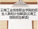 云南工业信息职业学院的招生人数和计划解读(云南工信院招生解读)