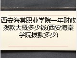 西安海棠职业学院一年财政拨款大概多少钱(西安海棠学院拨款多少)