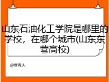 山东石油化工学院是哪里的学校，在哪个城市(山东东营高校)