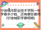 宁波城市职业技术学院一年学费多少钱，还有哪些费用(宁波城职学费明细)