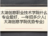 太湖创意职业技术学院什么专业最好，一年招多少人(太湖创意学院优势专业)