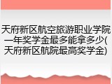 天府新区航空旅游职业学院一年奖学金最多能拿多少(天府新区航院最高奖学金)