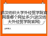 武汉纺织大学外经贸学院官网是哪个网址多少(武汉纺大外经贸学院官网)