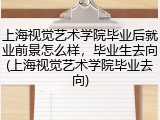 上海视觉艺术学院毕业后就业前景怎么样，毕业生去向(上海视觉艺术学院毕业去向)