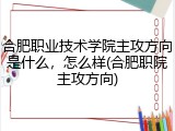 合肥职业技术学院主攻方向是什么，怎么样(合肥职院主攻方向)
