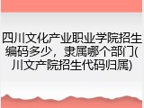 四川文化产业职业学院招生编码多少，隶属哪个部门(川文产院招生代码归属)