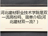 河北建材职业技术学院是双一流高校吗，简单介绍(河北建材双一流？)