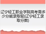 辽宁轻工职业学院高考需多少分能录取呢(辽宁轻工录取分数)