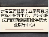 云南医药健康职业学院有没有就业指导中心，详细介绍(云南医药健康职业学院就业指导中心)