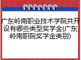 广东岭南职业技术学院共开设有哪些类型奖学金(广东岭南职院奖学金类别)