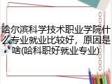 哈尔滨科学技术职业学院什么专业就业比较好，原因是啥(哈科职好就业专业)