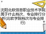 沈阳北软信息职业技术学院属于什么档次，专业排行分析(北软学院档次与专业排行)