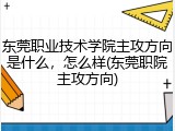 东莞职业技术学院主攻方向是什么，怎么样(东莞职院主攻方向)