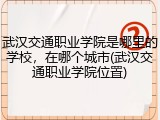 武汉交通职业学院是哪里的学校，在哪个城市(武汉交通职业学院位置)