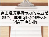 合肥经济学院最好的专业是哪个，详细阐述(合肥经济学院王牌专业)