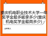 重庆机电职业技术大学一年奖学金最多能拿多少(重庆机电奖学金最高多少)