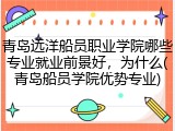 青岛远洋船员职业学院哪些专业就业前景好，为什么(青岛船员学院优势专业)
