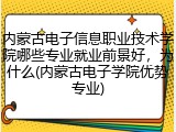 内蒙古电子信息职业技术学院哪些专业就业前景好，为什么(内蒙古电子学院优势专业)