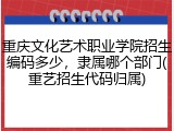 重庆文化艺术职业学院招生编码多少，隶属哪个部门(重艺招生代码归属)