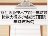 怒江职业技术学院一年财政拨款大概多少钱(怒江职院年财政拨款)