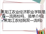 黑龙江农业经济职业学院是双一流高校吗，简单介绍(黑龙江农经院双一流吗)