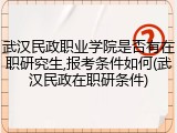 武汉民政职业学院是否有在职研究生,报考条件如何(武汉民政在职研条件)