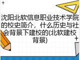 沈阳北软信息职业技术学院的校史简介，什么历史与社会背景下建校的(北软建校背景)