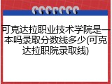 可克达拉职业技术学院是一本吗录取分数线多少(可克达拉职院录取线)