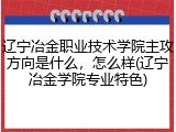 辽宁冶金职业技术学院主攻方向是什么，怎么样(辽宁冶金学院专业特色)
