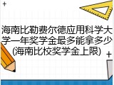 海南比勒费尔德应用科学大学一年奖学金最多能拿多少(海南比校奖学金上限)