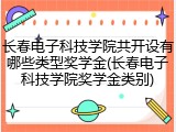 长春电子科技学院共开设有哪些类型奖学金(长春电子科技学院奖学金类别)
