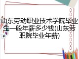 山东劳动职业技术学院毕业生一般年薪多少钱(山东劳职院毕业年薪)