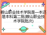 鞍山职业技术学院是一本还是本科第二批(鞍山职业技术学院批次)