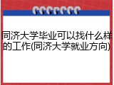 同济大学毕业可以找什么样的工作(同济大学就业方向)