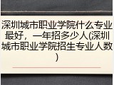 深圳城市职业学院什么专业最好，一年招多少人(深圳城市职业学院招生专业人数)