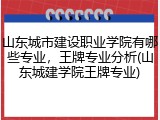 山东城市建设职业学院有哪些专业，王牌专业分析(山东城建学院王牌专业)