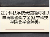 辽宁科技学院就读期间可以申请哪些奖学金(辽宁科技学院奖学金种类)