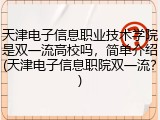 天津电子信息职业技术学院是双一流高校吗，简单介绍(天津电子信息职院双一流？)