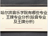 哈尔滨音乐学院有哪些专业，王牌专业分析(哈音专业及王牌分析)