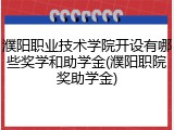 濮阳职业技术学院开设有哪些奖学和助学金(濮阳职院奖助学金)