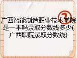 广西智能制造职业技术学院是一本吗录取分数线多少(广西职院录取分数线)