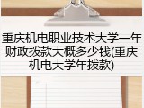 重庆机电职业技术大学一年财政拨款大概多少钱(重庆机电大学年拨款)
