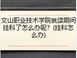 文山职业技术学院就读期间挂科了怎么办呢？(挂科怎么办)