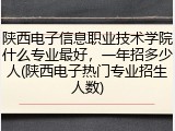 陕西电子信息职业技术学院什么专业最好，一年招多少人(陕西电子热门专业招生人数)