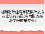 湖南财政经济学院读什么专业比较有前景(湖南财政经济学院前景专业)