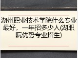 湖州职业技术学院什么专业最好，一年招多少人(湖职院优势专业招生)
