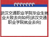 武汉交通职业学院毕业生就业大致去向如何(武汉交通职业学院就业去向)